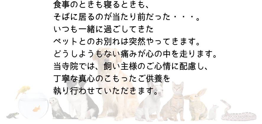 ペット供養の詳細説明