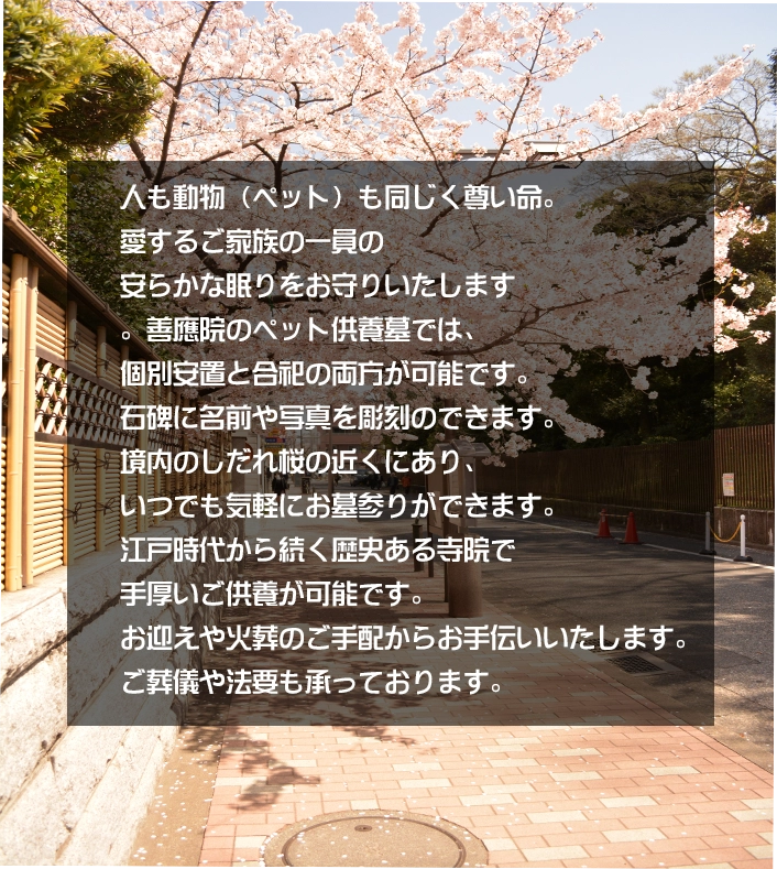 ペット供養の流れと手続き